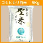 ショッピング米 5kg 送料無料 【令和7年産】コシヒカリ 100% 聖米5kg【白米】