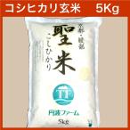 【令和7年産】コシヒカリ 100% 聖米5kg【玄米】