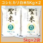ショッピング米 5kg 送料無料 【令和7年産】コシヒカリ 100% 聖米5kg×2袋【白米】