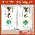 ショッピング米 5kg 送料無料 【令和7年産】コシヒカリ 100% 聖米5kg×2袋【玄米】