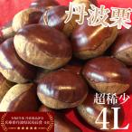 [ бесплатная доставка ] каштан Tanba каштан сырой каштан новый каштан 4L 2kg(500g×4) редкостный крупный большой каштан высококлассный местного производства каштан . земля производство . данный земля гурман ваш заказ 