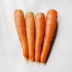  природа культивирование морковь 1kg передний и задний (до и после) Chiba префектура производство 20 год и больше нет удобрение нет пестициды ...... автомобиль ki считая . зуб ......... сделал тест ... очарование свежий ...