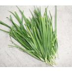  природа культивирование .. примерно 50g три слоя префектура производство нет удобрение нет пестициды длина год пестициды . удобрение . используется без природа . ограничение нет близкий сельское хозяйство закон . овощи . произведение ... сделал 