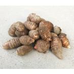 自然栽培 里芋 1kg　熊本県産 無肥料