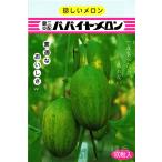 ショッピングメロン ノーネットメロン 種 『パパイヤメロン』  愛三種苗/小袋