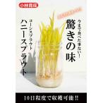  кукуруза ростки вид [ мед ростки ] Kobayashi вид рассада / маленький пакет 