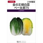  Haku носорог вид [ золотой. король китайская капуста беж Taro 75] Kobayashi вид рассада / пальто L50 шарик 