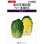  Haku носорог вид [ золотой. король китайская капуста беж Taro 85] Kobayashi вид рассада / пальто L50 шарик 