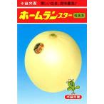 ノーネットメロン 種 『ホームランスター