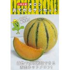 ショッピングメロン 赤肉ネットメロン 種 『おてがるサンセット』  小林種苗/小袋