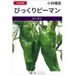  зеленый перец вид [ удивлен зеленый перец ] Kobayashi вид рассада / маленький пакет 