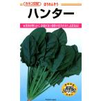  howe объединенный вид [ Hunter ]ka кошка вид рассада / маленький пакет 