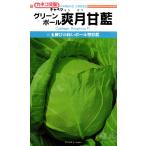  высшее . сырой капуста вид [. месяц ]ka кошка вид рассада / маленький пакет 