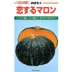  чёрная кожа тыква вид [. делать marron ]ka кошка вид рассада / маленький пакет 