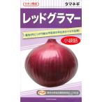 . сырой красный tama лук-батун вид [ красный g лама -]ka кошка вид рассада / маленький пакет 