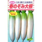  весна дайкон вид [ весна. .. дайкон ] сосна . вид рассада /20ml