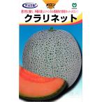 赤肉ネットメロン 種 