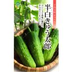  половина белый Mini огурец вид [ половина белый ... Taro ] круг вид / маленький пакет 