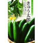  Mini огурец вид [... Taro ] круг вид / маленький пакет 