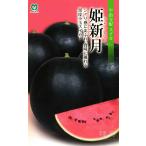 黒皮小玉スイカ 種 『姫新月』  丸種/200粒