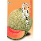 赤肉ネットメロン 種 