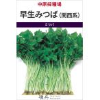  Mitsuba вид [. сырой ...( Kansai серия )] средний .. вид место /1L