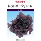  leaf lettuce вид [ красный дуб |L-117] средний .. вид место /L пальто тысяч шарик 