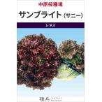. красный Sunny lettuce вид [ солнечный яркий ( Sunny )] средний .. вид место /L пальто 5 тысяч шарик 