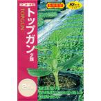 ショッピングスイカ スイカ台木（夕顔） 種 『トップガン』  ナント種苗/400粒