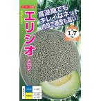 ショッピングメロン ネットメロン 種 『エリシオ』  ナント種苗/100粒