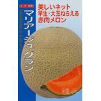 ネットメロン（赤肉）
