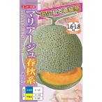 ネットメロン（赤肉）
