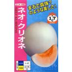 白皮赤肉メロン 種 『