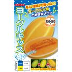 プリンス系メロン(赤
