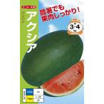  эллипс чёрная кожа . маленький шар арбуз вид [ Axia ] наан to вид рассада / маленький пакет 