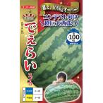 超大玉スイカ 種 『でぇらい』  ナント種苗/50粒