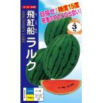 楕円紅小玉スイカ 種 『飛紅船ラルク』  ナント種苗/200粒