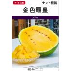 黄大玉スイカ 種 『金色羅皇』  ナント種苗/100粒