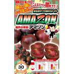  Zebra рисунок средний шар помидор вид [Amazon( Amazon )] наан to вид рассада / маленький пакет 