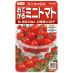  мини помидоры вид [ Mini Carol ]sakata. tane/ маленький пакет 