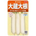 ダイコン 種 『大蔵大根』  サカタのタネ/小袋