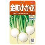 小カブ 種 『金町小かぶ』  サカタのタネ/小袋