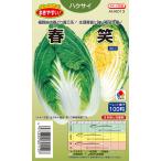  желтый сердцевина весна ~ первый лето .. Haku носорог вид [ весна смех ] AHA013takii вид рассада / маленький пакет ( priming pe let 100 шарик )