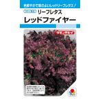  красный leaf lettuce вид [ красный fire -] ALE530takii вид рассада /pe let L5000 шарик 