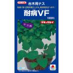 ショッピングANA ナス台木 種 『耐病VF』 ANA031 タキイ種苗/1000粒
