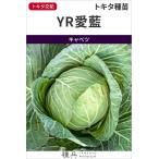  капуста вид [YR love индиго ]tokita вид рассада /2500 шарик 