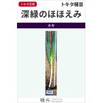 ショッピングほほえみ 根深ネギ 種 『深緑のほほえみ』  トキタ種苗/1dl