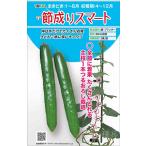  огурец вид [... Smart ]tokita вид рассада / маленький пакет 