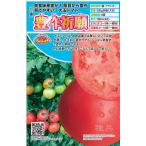  большой шар помидор вид [. произведение ..]tokita вид рассада / маленький пакет 