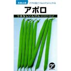 tsu. нет фасоль обыкновенная вид [ Apollo ]takayamasi-do/ маленький пакет 